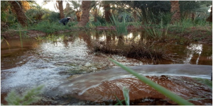 Séminaire de lancement du projet d’établissement CRASC